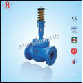 gas control check valve